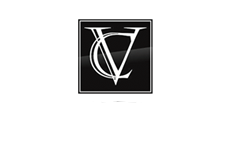 logo-vidigal-2